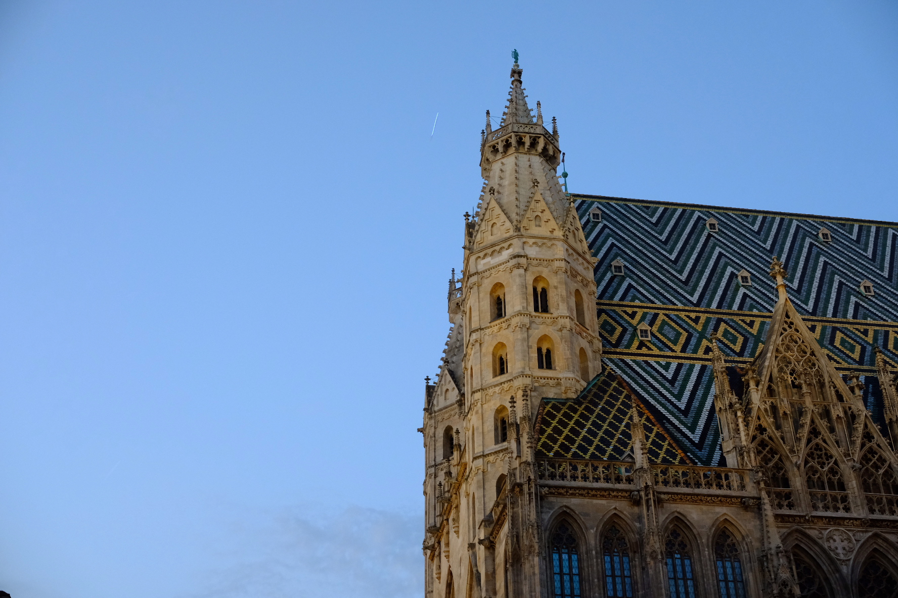 vienna-2.jpg