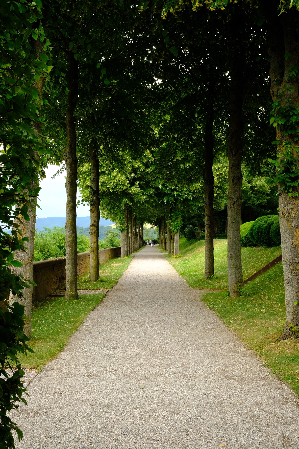 vienna-6.jpg