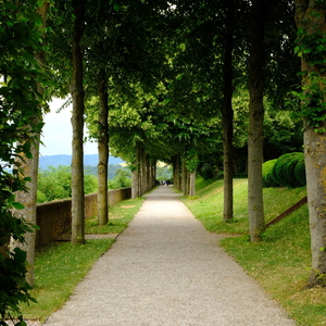 vienna-6.jpg