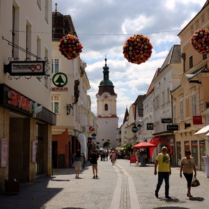 vienna-7.jpg